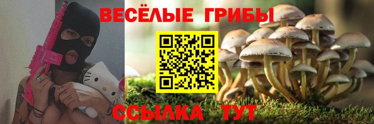 Галлюциногенные грибы Magic Shrooms  купить наркоту  Белгород  Вход с VPN 